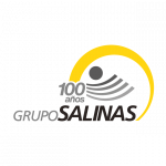 grupo salinas